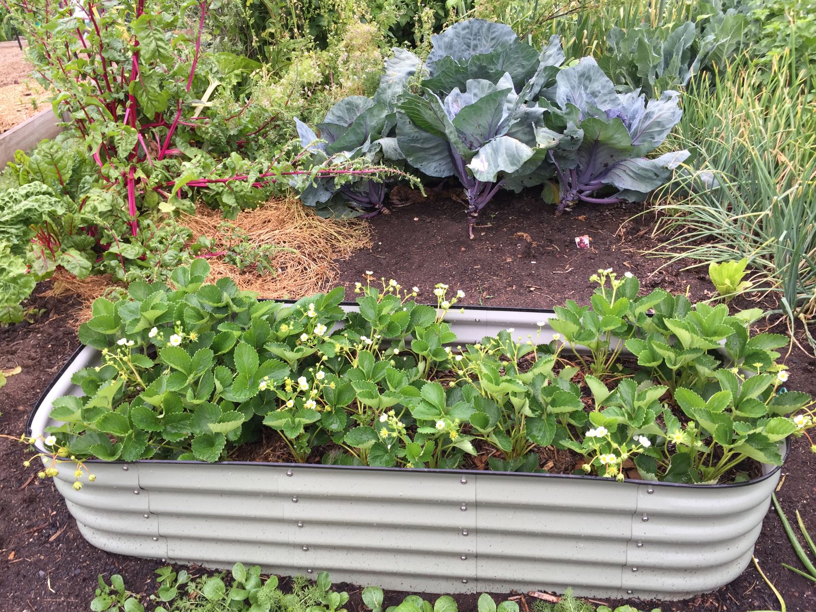Jardin & potager